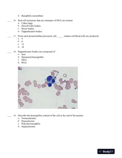 Hematology in Practice 2nd Edition Test Bank - Page 13 preview image