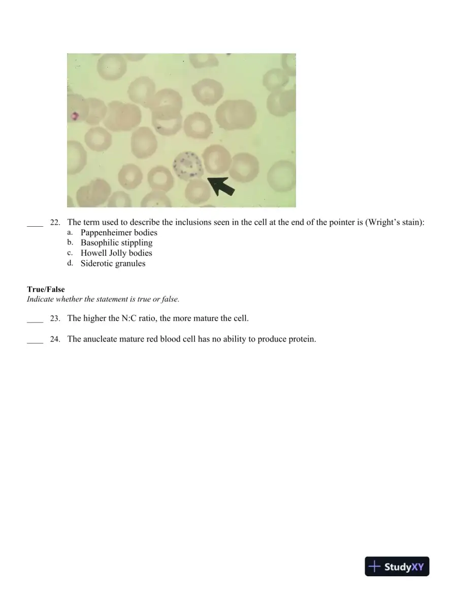Hematology in Practice 2nd Edition Test Bank, page 15