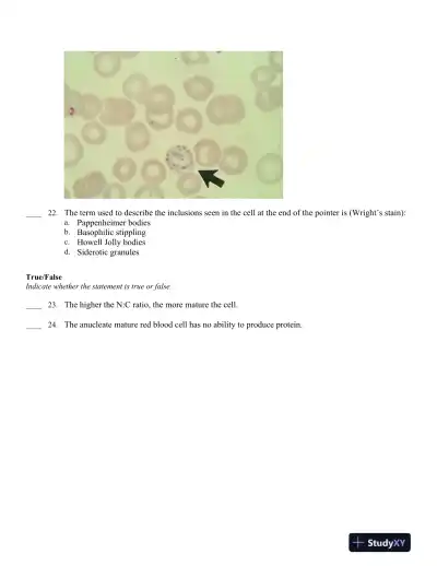Hematology in Practice 2nd Edition Test Bank - Page 15 preview image