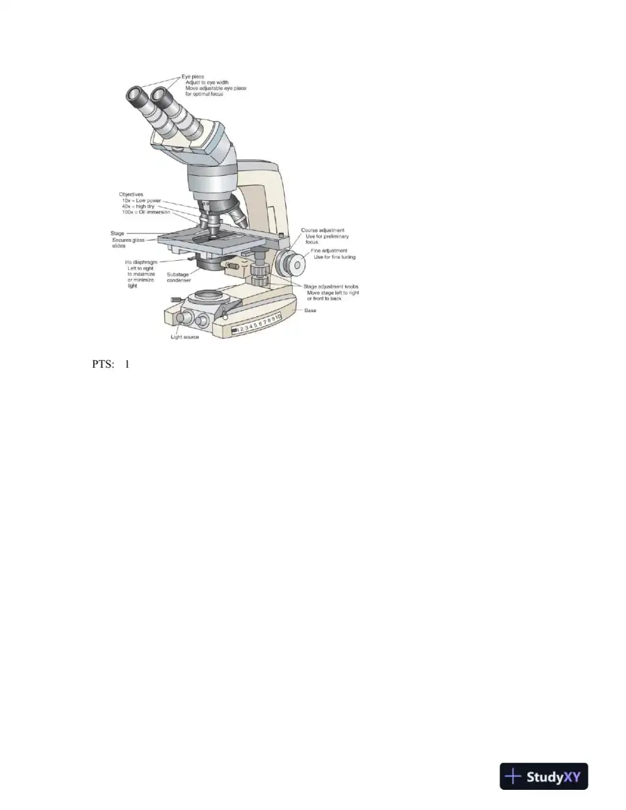 Hematology in Practice 2nd Edition Test Bank, page 6