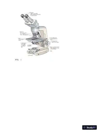 Hematology in Practice 2nd Edition Test Bank - Page 6 preview image