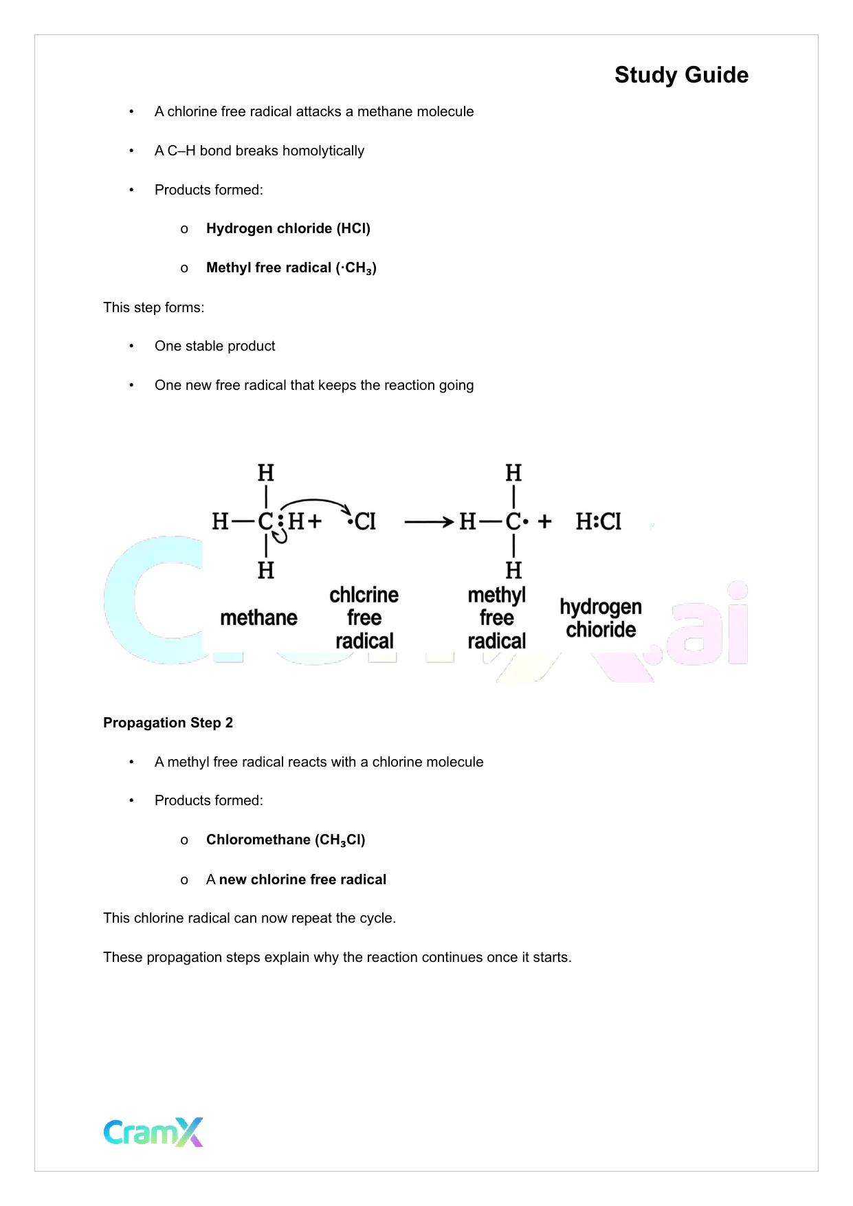 Organic Chemistry I - Reactions of Alkanes - Page 3 preview image