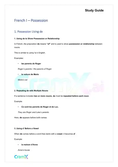 French I - Possession - Page 1 preview image