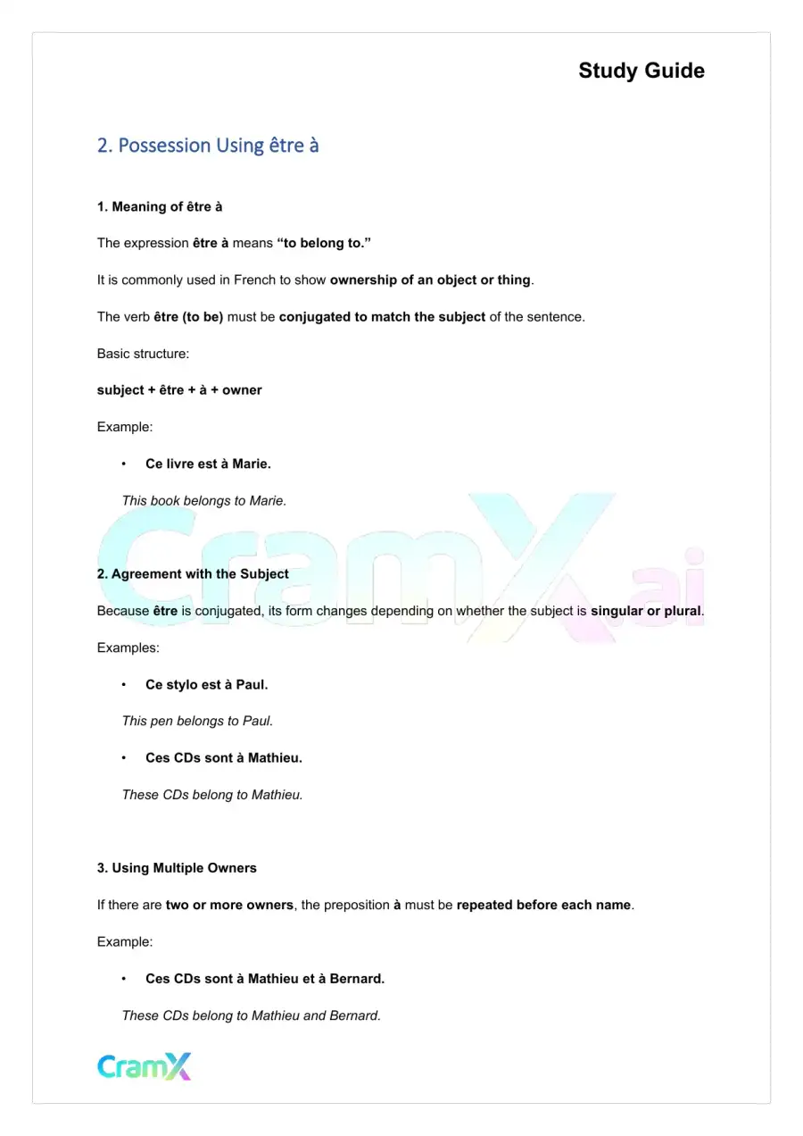 French I - Possession, page 3