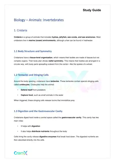 Biology - Animals Invertebrates - Page 1 preview image