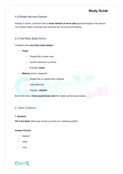 Biology - Animals Invertebrates - Page 2 preview image