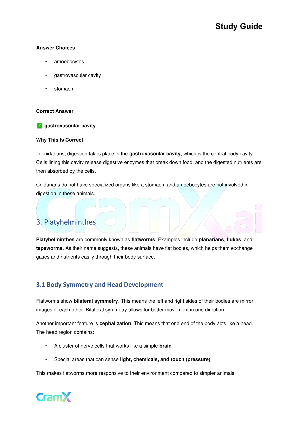Biology - Animals Invertebrates - Page 4 preview image