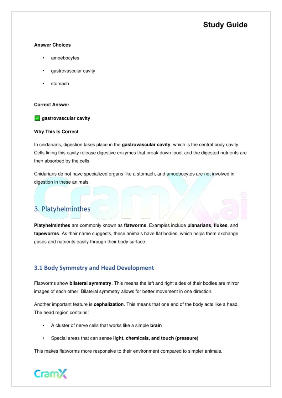 Biology - Animals Invertebrates, page 4