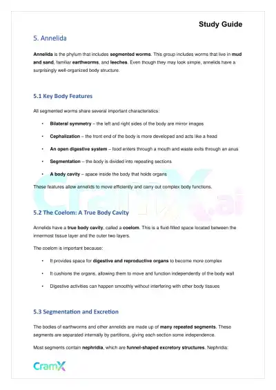 Biology - Animals Invertebrates - Page 8 preview image