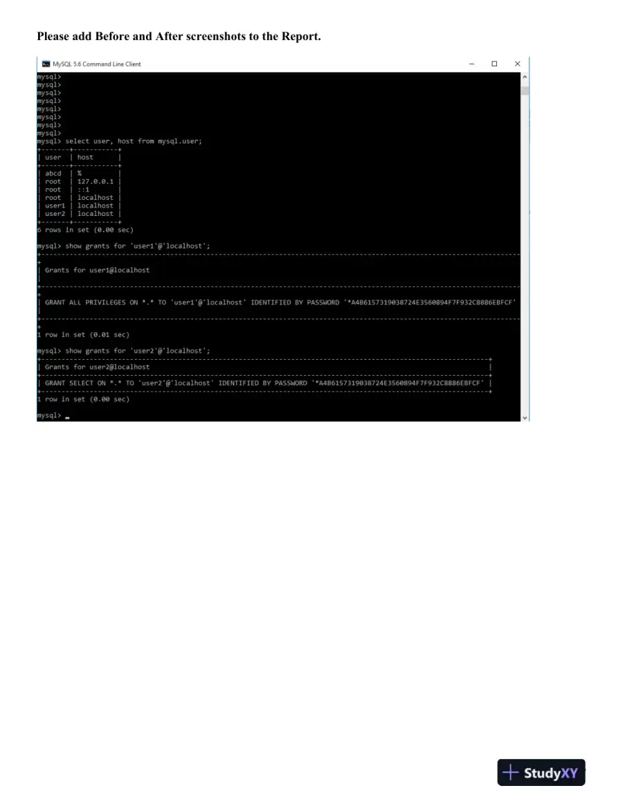 Managing MySQL Users: Command Line vs. MySQL Workbench, page 4