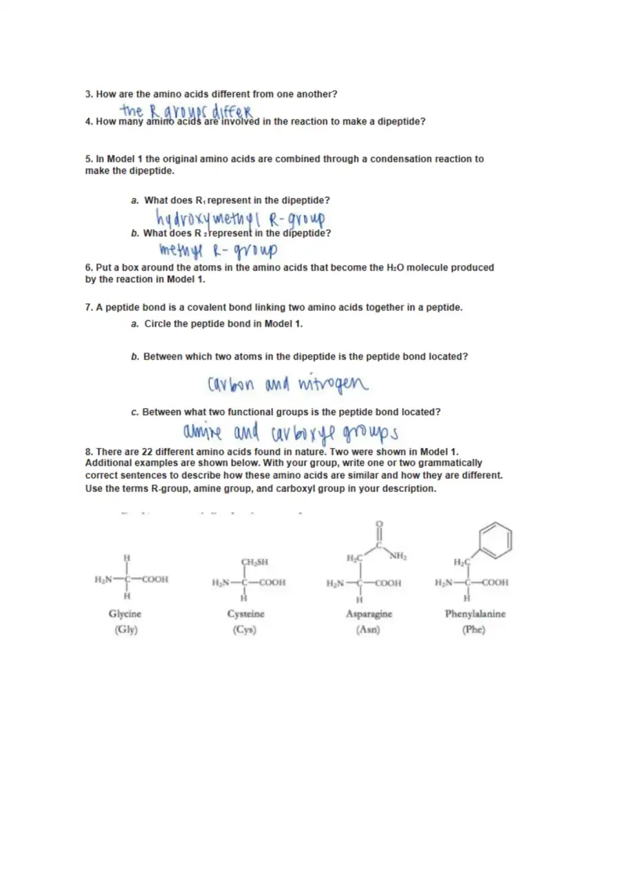 Protein Structure, page 2