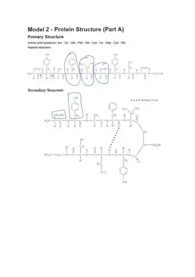 Protein Structure - Page 3 preview image