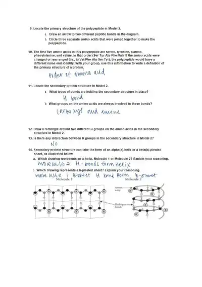 Protein Structure - Page 4 preview image