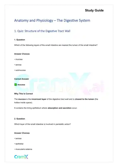 Anatomy and Physiology - The Digestive System - Page 1 preview image