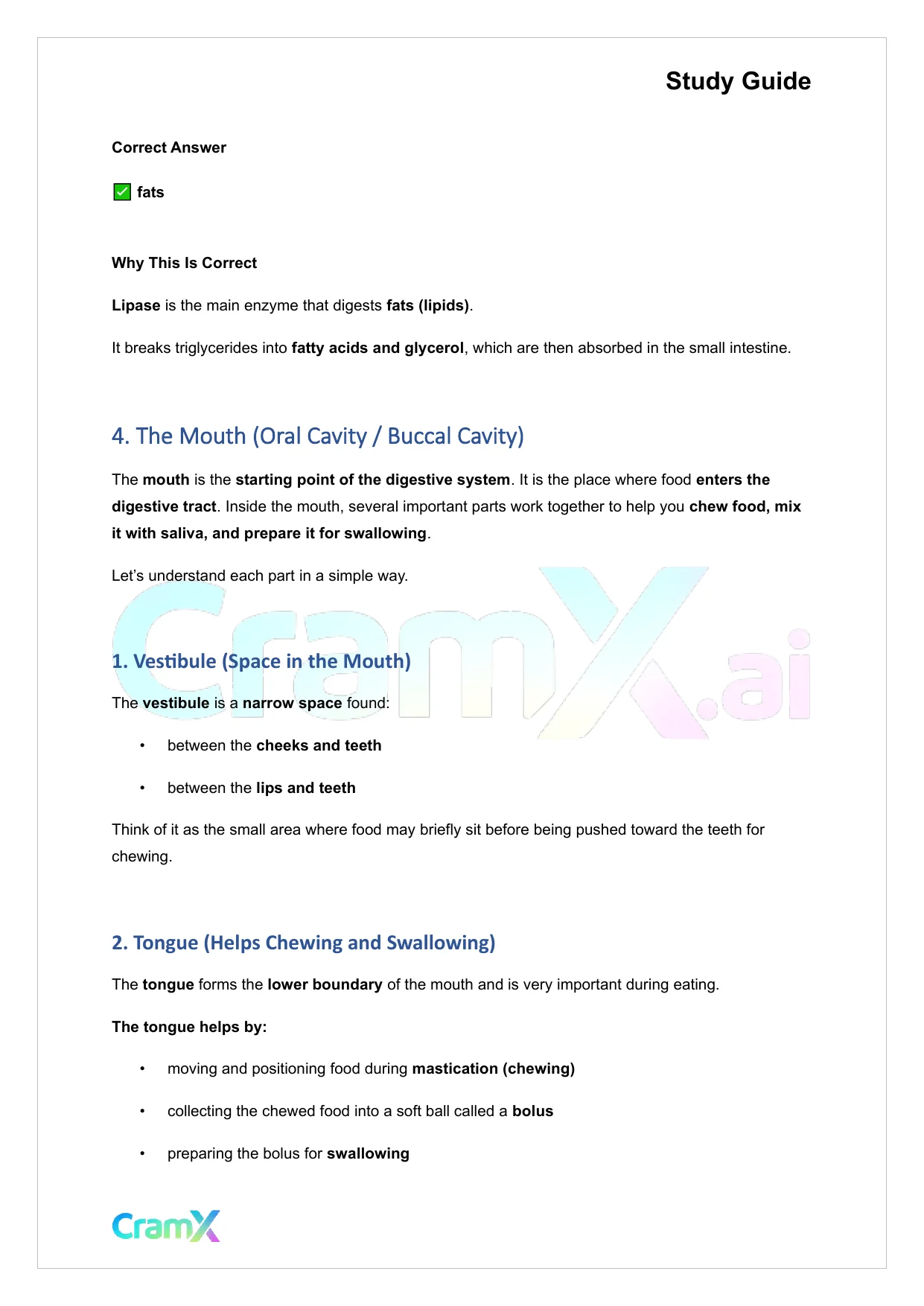 Anatomy and Physiology - The Digestive System - Page 10 preview image