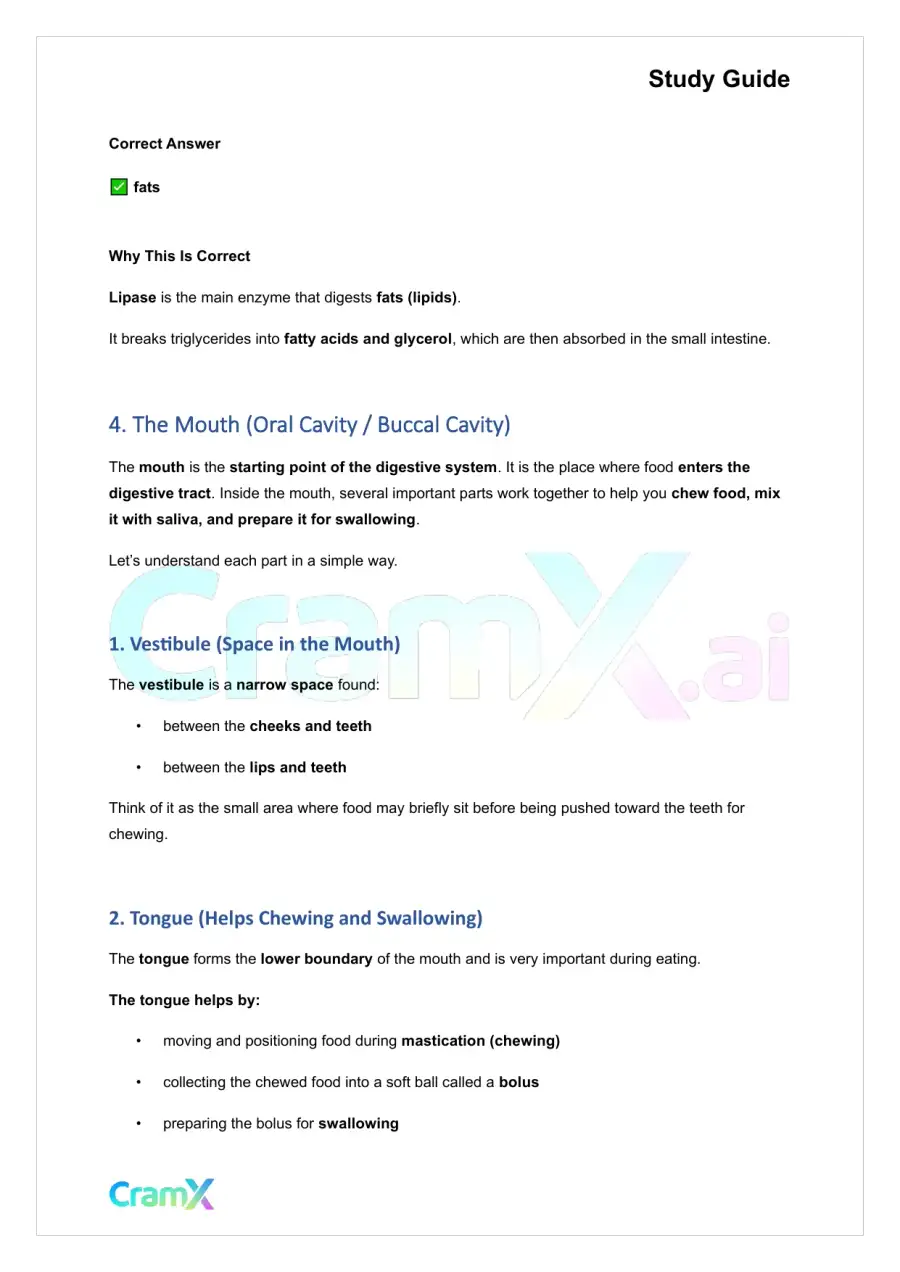 Anatomy and Physiology - The Digestive System, page 10