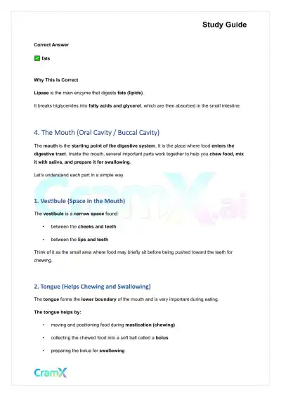 Anatomy and Physiology - The Digestive System - Page 10 preview image