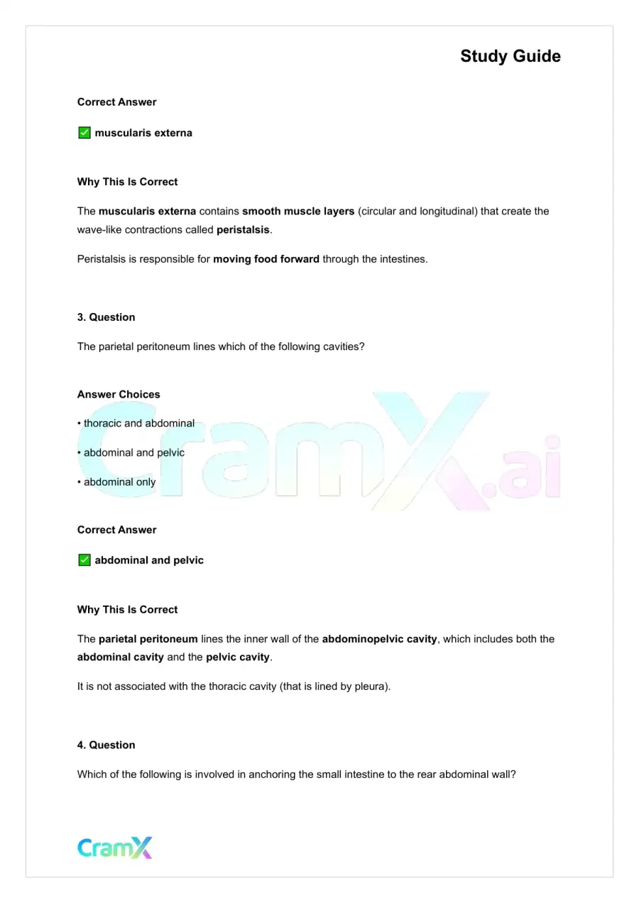 Anatomy and Physiology - The Digestive System, page 2