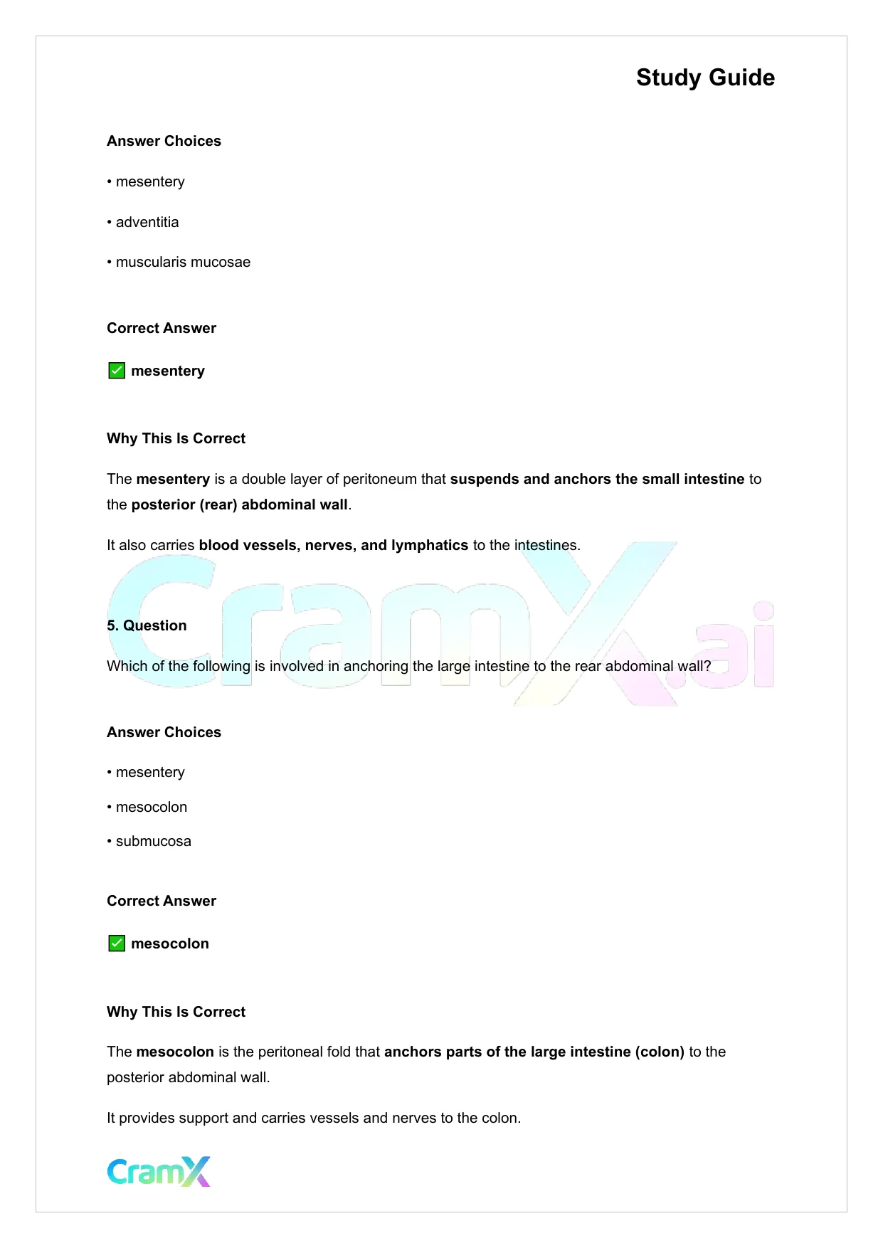 Anatomy and Physiology - The Digestive System - Page 3 preview image