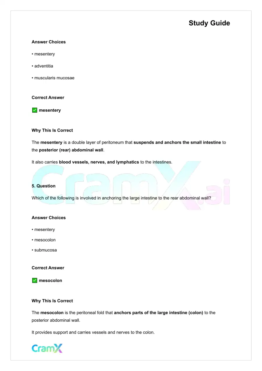 Anatomy and Physiology - The Digestive System, page 3