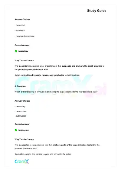 Anatomy and Physiology - The Digestive System - Page 3 preview image
