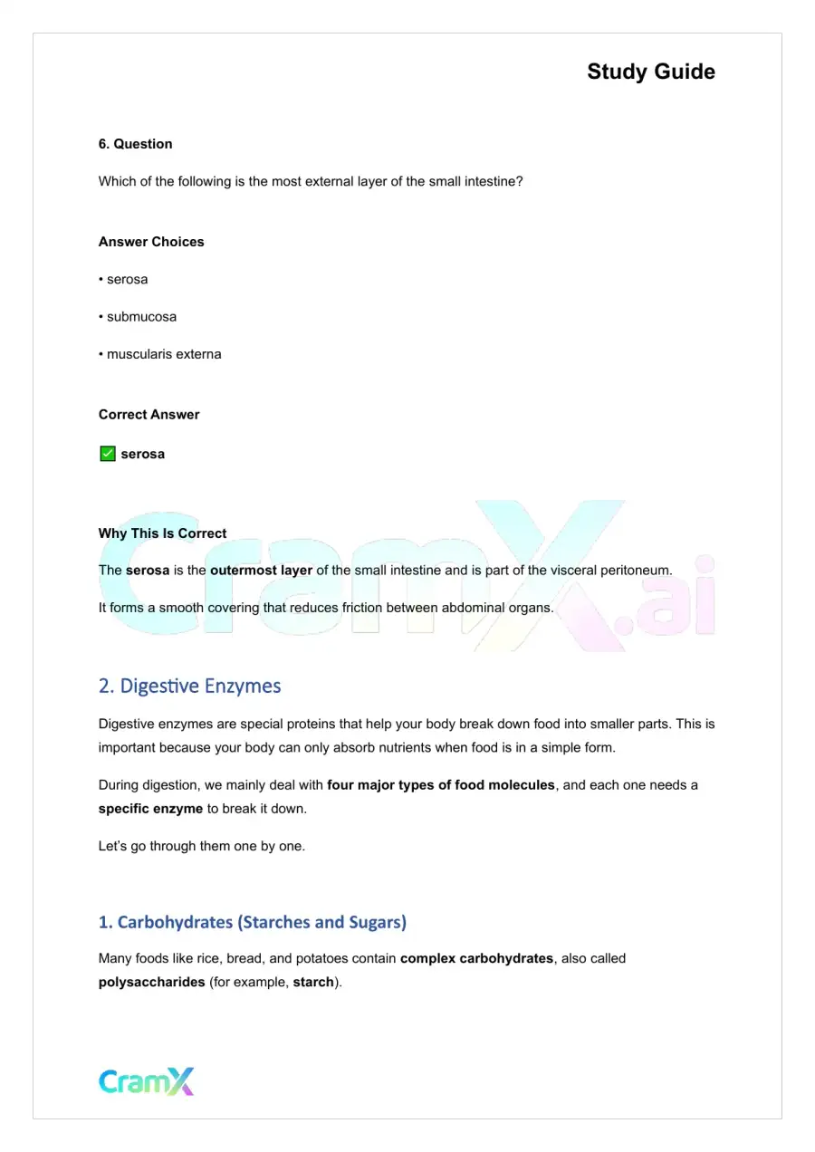 Anatomy and Physiology - The Digestive System, page 4