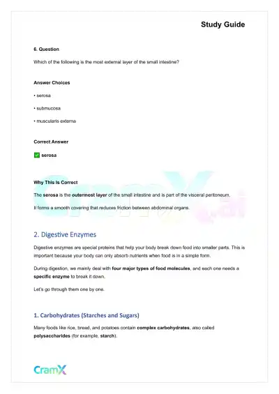 Anatomy and Physiology - The Digestive System - Page 4 preview image