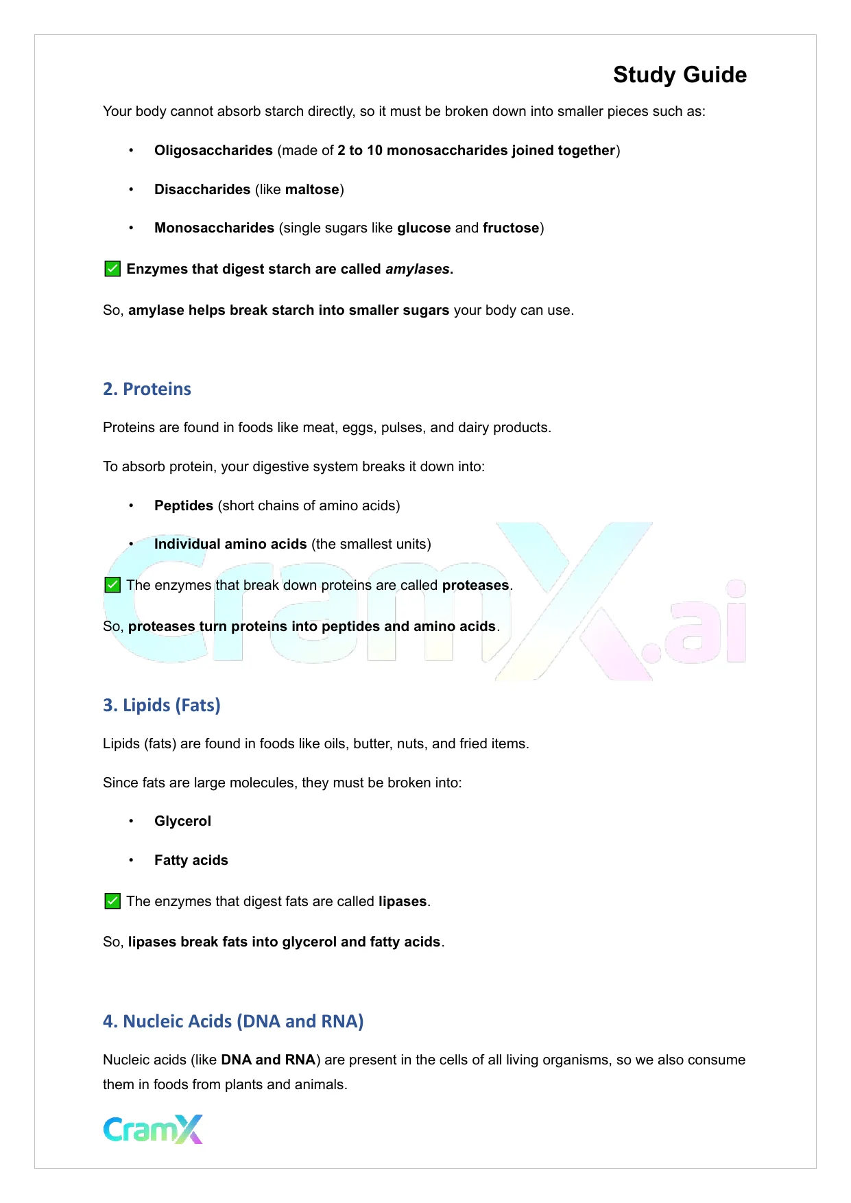 Anatomy and Physiology - The Digestive System - Page 5 preview image