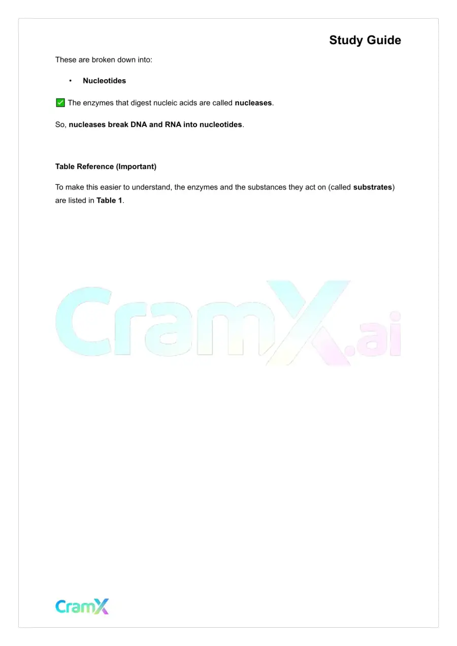 Anatomy and Physiology - The Digestive System, page 6