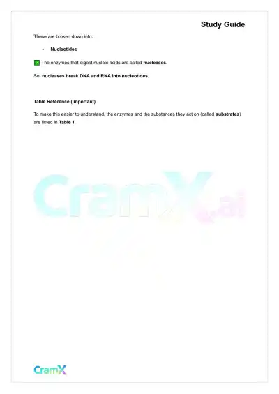 Anatomy and Physiology - The Digestive System - Page 6 preview image