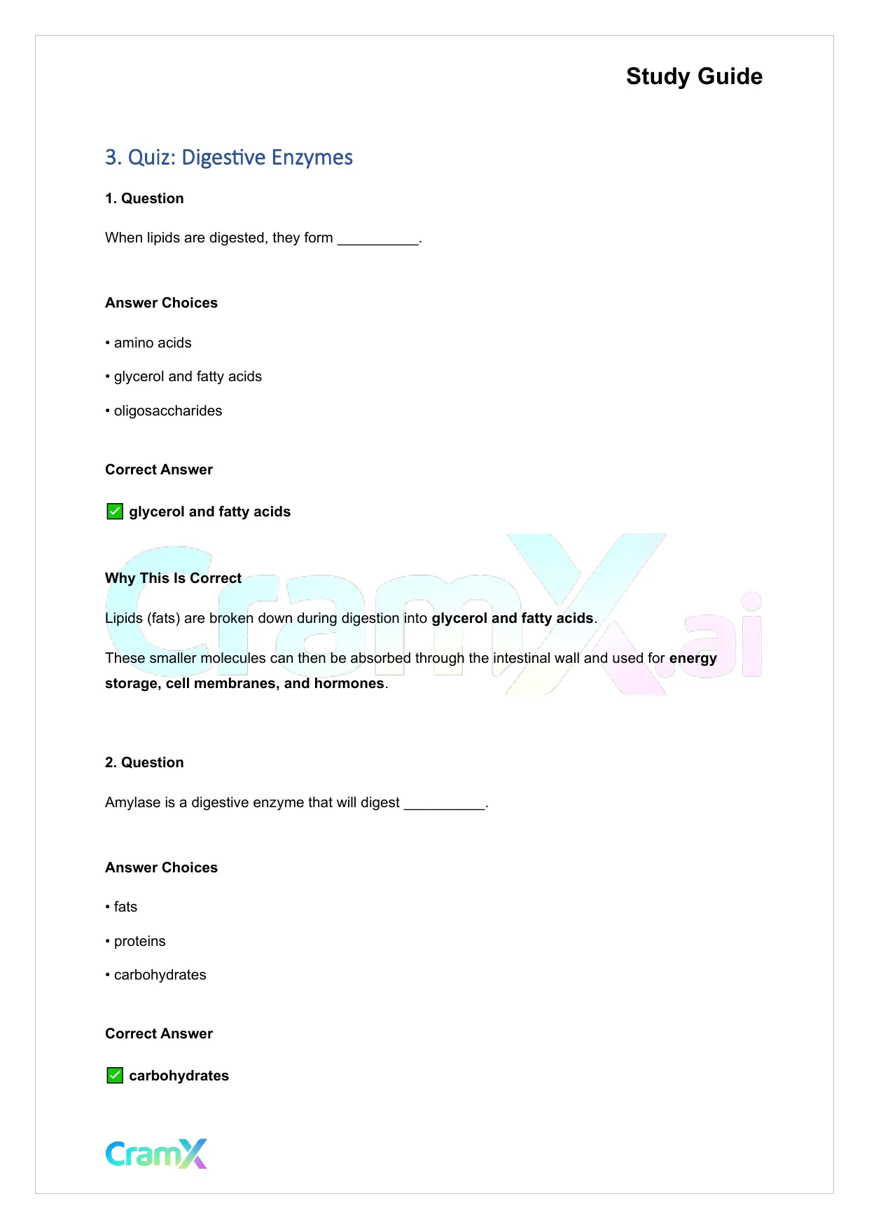 Anatomy and Physiology - The Digestive System - Page 8 preview image