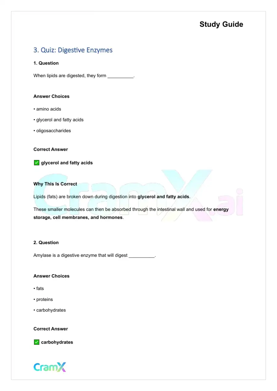 Anatomy and Physiology - The Digestive System, page 8