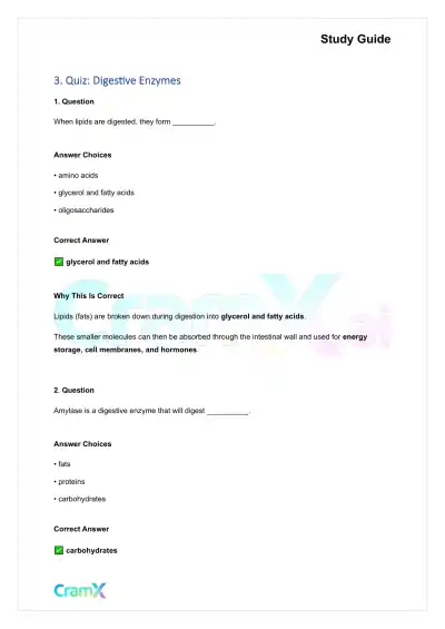 Anatomy and Physiology - The Digestive System - Page 8 preview image