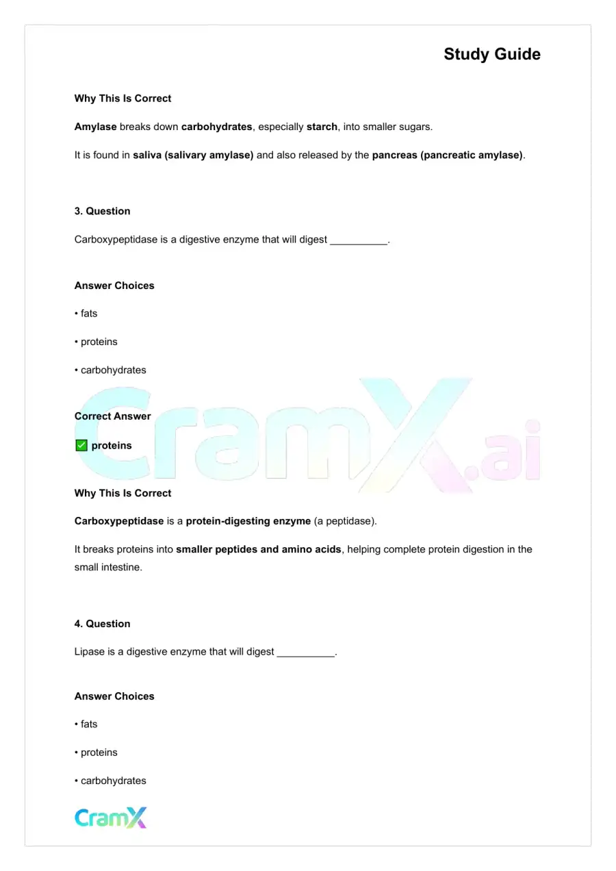Anatomy and Physiology - The Digestive System, page 9