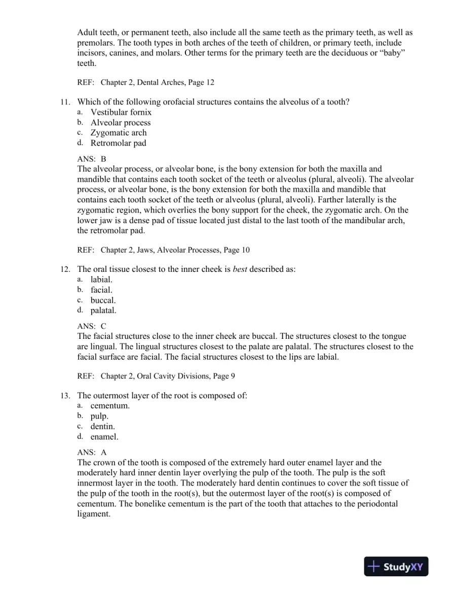 Illustrated Dental Embryology, Histology, and Anatomy 4th Edition Test Bank, page 13