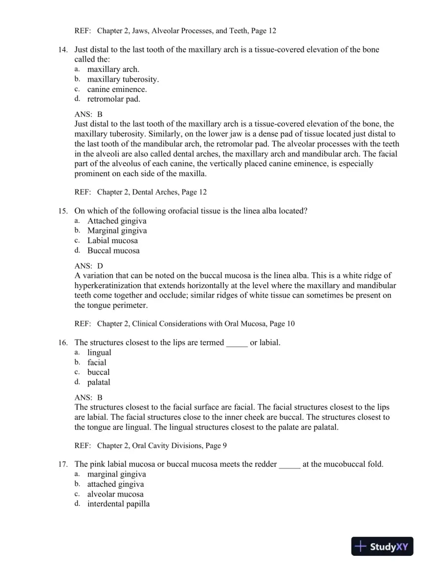 Illustrated Dental Embryology, Histology, and Anatomy 4th Edition Test Bank, page 14