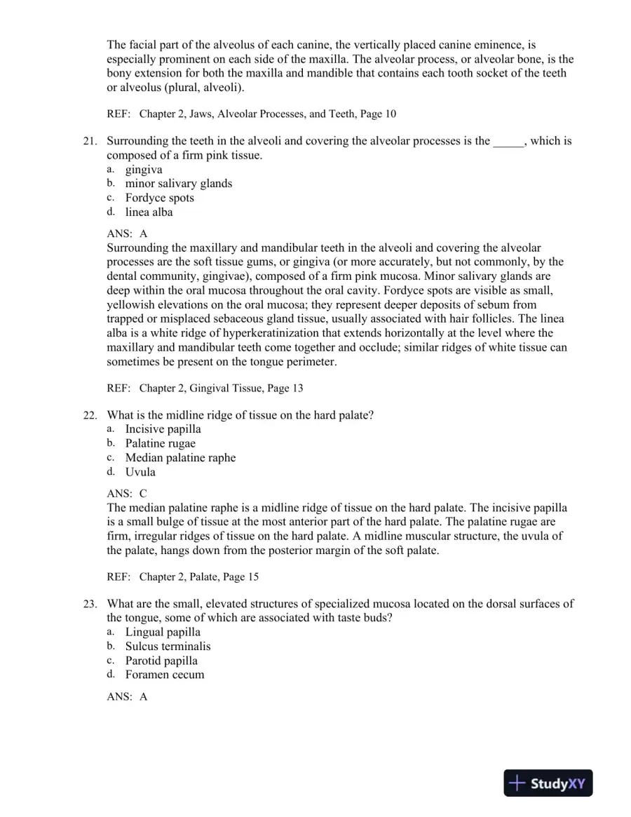 Illustrated Dental Embryology, Histology, and Anatomy 4th Edition Test Bank, page 16