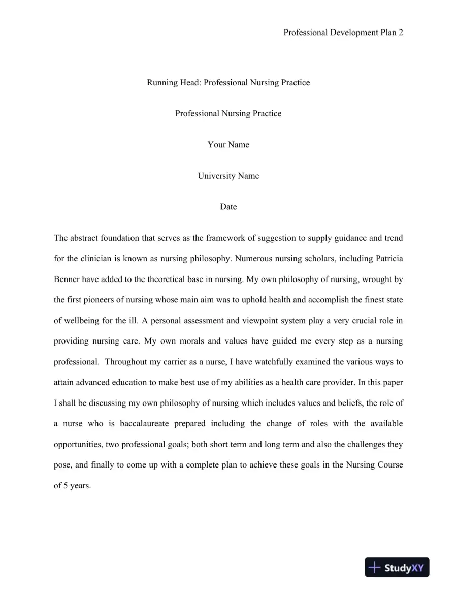 Professional Nursing Practice, page 3