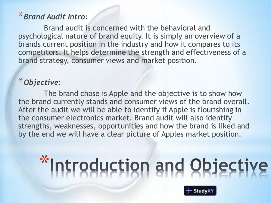 Apple Brand Audit, page 3