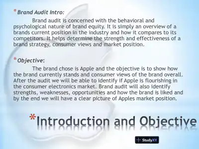 Apple Brand Audit - Page 3 preview image