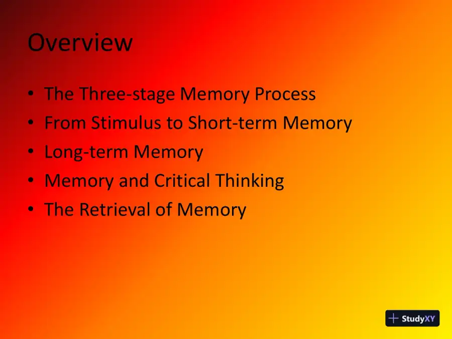 Memory Presentation - PSY/201 Axia College Of University Of Phoenix, page 3