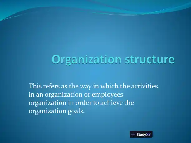 Organization Structure - Page 1 preview image