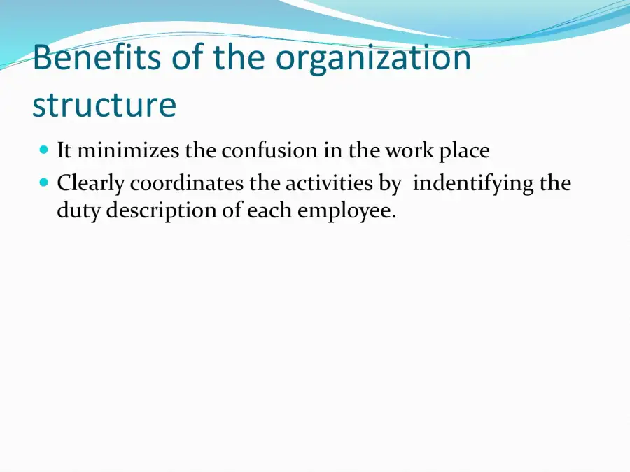 Organization Structure, page 2