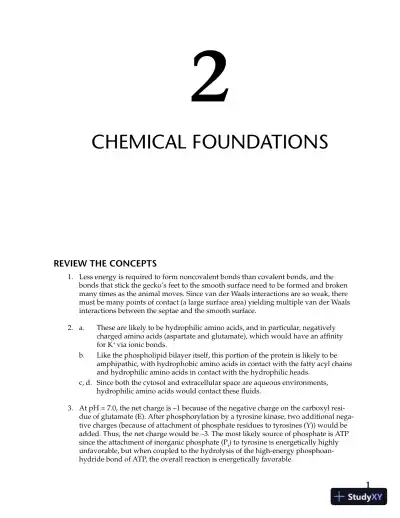 Solution Manual for Molecular Cell Biology , 8th Edition - Page 1 preview image