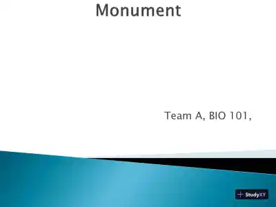 Assignment #3 � XLM C - COIS-3380, Management Info Sys, Summer 2015 - Page 1 preview image