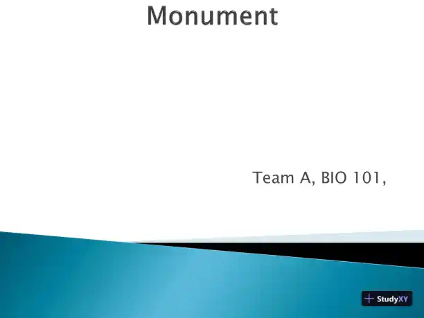 Assignment #3 � XLM C - COIS-3380, Management Info Sys, Summer 2015 - Page 1 preview image