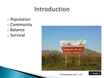 Assignment #3 � XLM C - COIS-3380, Management Info Sys, Summer 2015 - Page 3 preview image