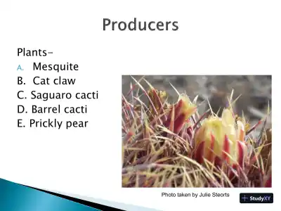 Assignment #3 � XLM C - COIS-3380, Management Info Sys, Summer 2015 - Page 4 preview image