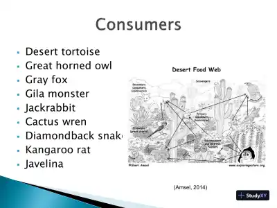 Assignment #3 � XLM C - COIS-3380, Management Info Sys, Summer 2015 - Page 5 preview image