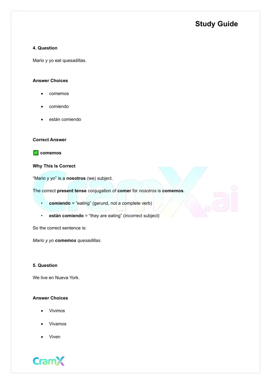 Spanish I - Infinitive and Regular Verb Use, page 8